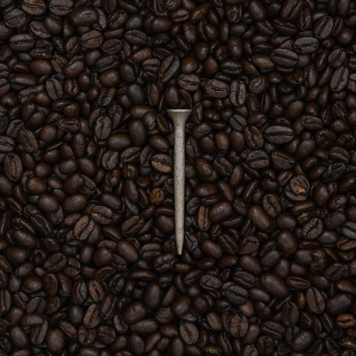 Tomo Coffee Tees (100)